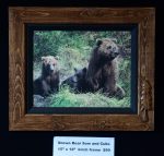 Brown Bear and Cubs